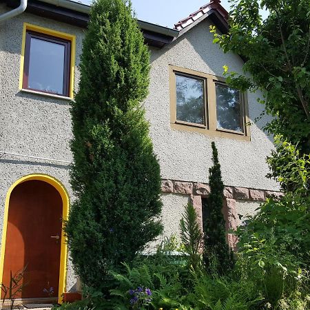 Ferienhaus Am Kirchberg Kurort Steinbach-Hallenberg Eksteriør bilde