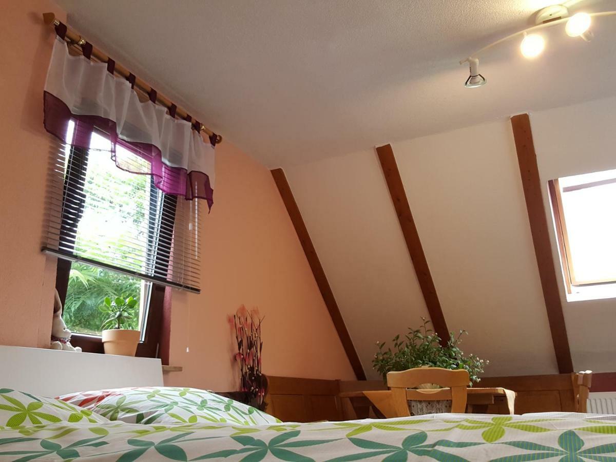 Ferienhaus Am Kirchberg Kurort Steinbach-Hallenberg Eksteriør bilde