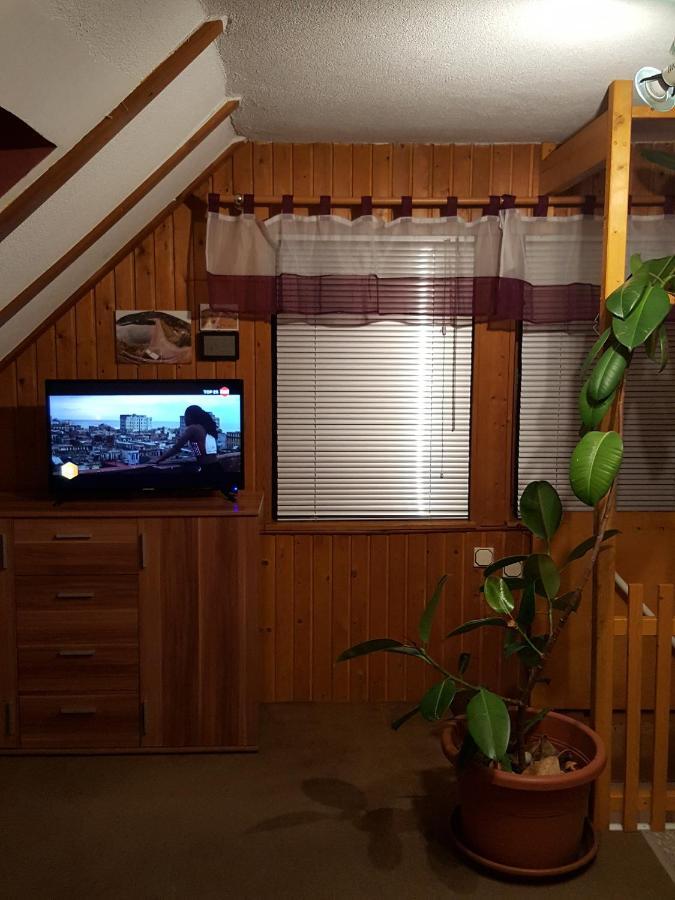 Ferienhaus Am Kirchberg Kurort Steinbach-Hallenberg Eksteriør bilde