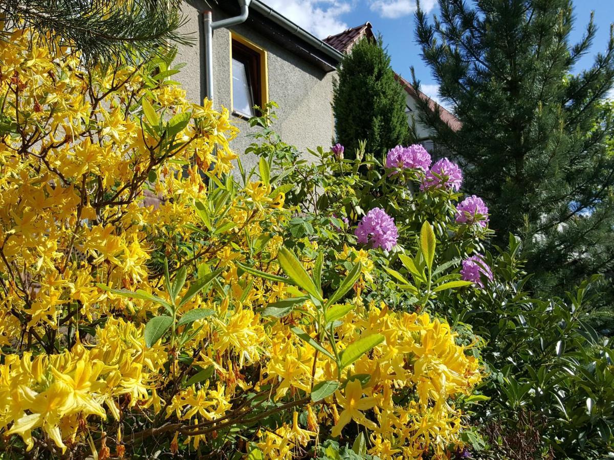 Ferienhaus Am Kirchberg Kurort Steinbach-Hallenberg Eksteriør bilde