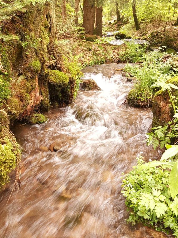 Ferienhaus Am Kirchberg Kurort Steinbach-Hallenberg Eksteriør bilde